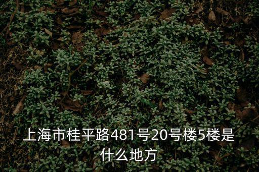 上海市桂平路481號20號樓5樓是什么地方