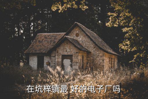 在坑梓鎮(zhèn)最 好的電子廠嗎