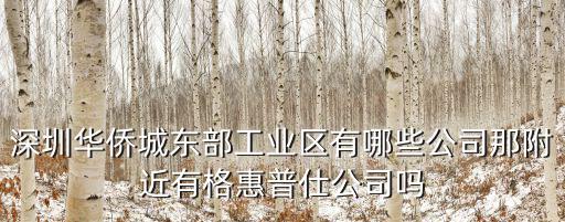 深圳華僑城東部工業區有哪些公司那附近有格惠普仕公司嗎