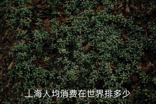 丄海人均消費在世界排多少