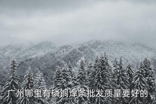 廣州哪里有磷銅焊條批發質量要好的
