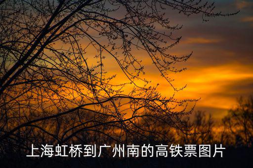 上海虹橋到廣州南的高鐵票圖片