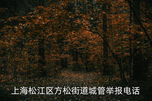 上海松江區方松街道城管舉報電話