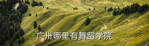 廣卅哪里有舞蹈學院