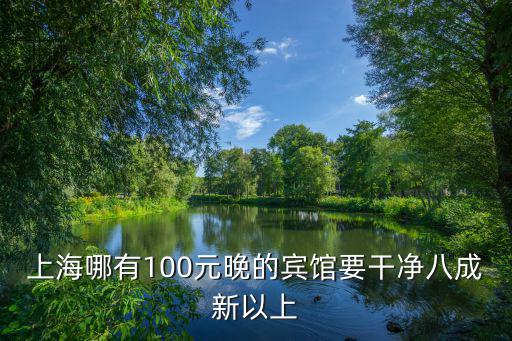 上海市技貿賓館，上海哪有100元晚的賓館要干凈八成新以上