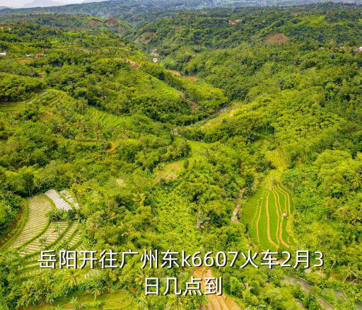 岳陽開往廣州東k6607火車2月3日幾點到