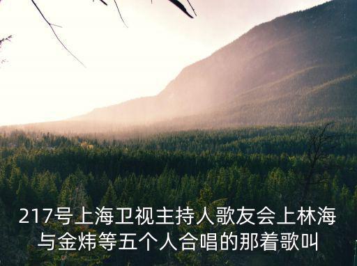 217號(hào)上海衛(wèi)視主持人歌友會(huì)上林海與金煒等五個(gè)人合唱的那著歌叫