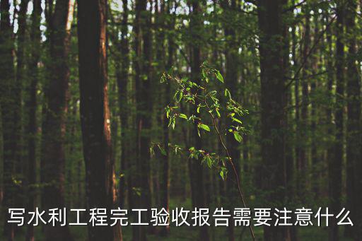 寫水利工程完工驗收報告需要注意什么