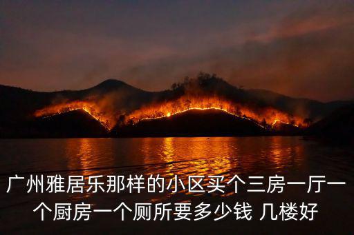 廣州雅居樂(lè)那樣的小區(qū)買(mǎi)個(gè)三房一廳一個(gè)廚房一個(gè)廁所要多少錢(qián) 幾樓好