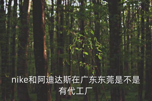 東莞第一精工廠，廣東東莞源興科技有限公司