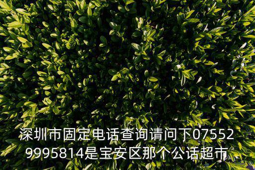 深圳市固定電話查詢請問下075529995814是寶安區那個公話超市