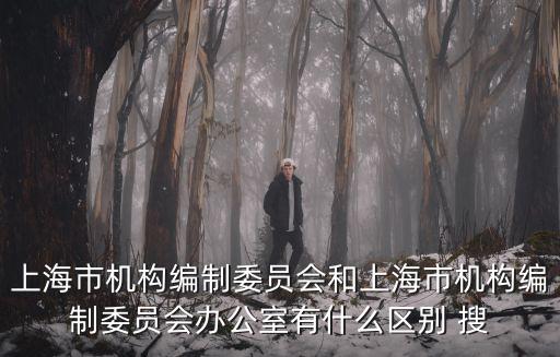 上海市機構編制委員會和上海市機構編制委員會辦公室有什么區別 搜