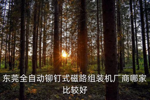 東莞全自動鉚釘式磁路組裝機廠商哪家比較好