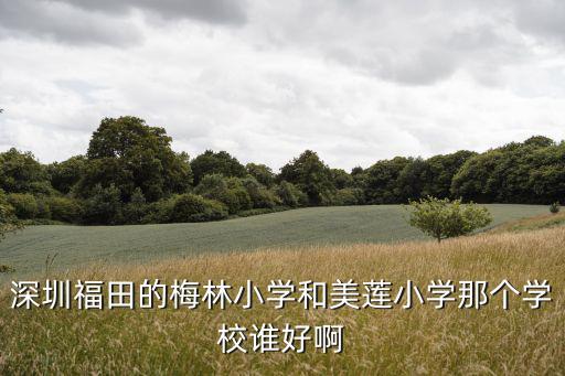 深圳福田的梅林小學和美蓮小學那個學校誰好啊