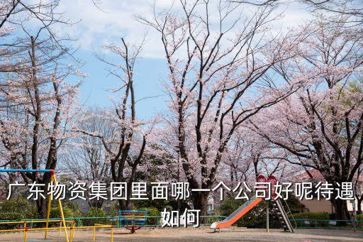 廣東物資集團廣州開發區公司，廣東物資總公司在哪里