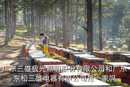 廣東三雄極光照明股份有限公司和廣東東松三雄電器有限公司是一家嗎