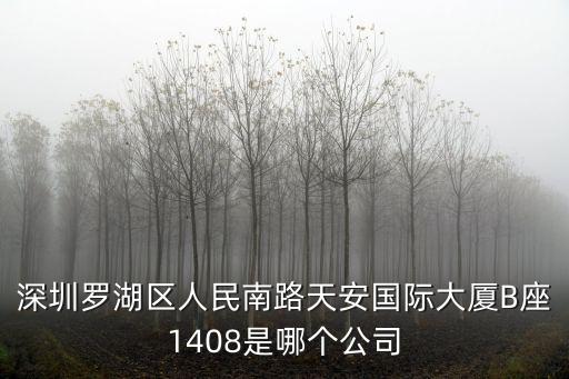 深圳羅湖區(qū)人民南路天安國際大廈B座1408是哪個公司