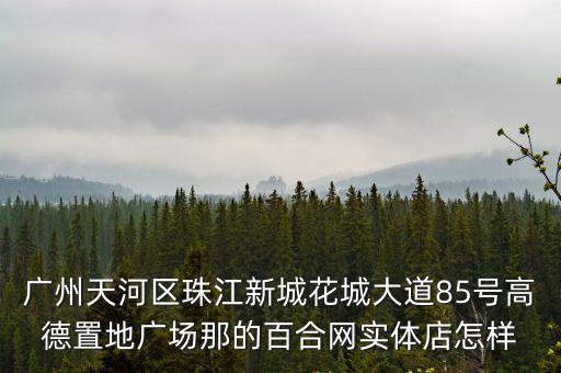廣州天河區珠江新城花城大道85號高德置地廣場那的百合網實體店怎樣