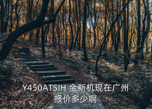 廣州皮邊油真空脫泡機，Y450ATSIH 全新機現在廣州報價多少啊