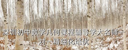 深圳初中數學幾何課程輔導學大名師一對一精細化培優