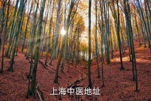 上海中醫地址