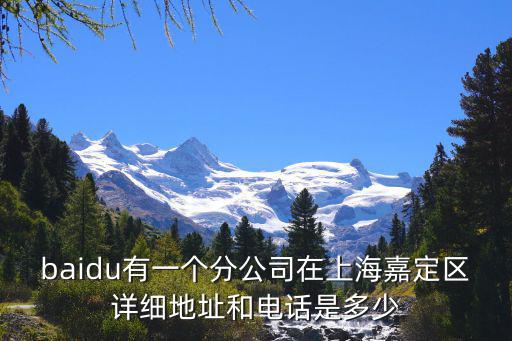 baidu有一個分公司在上海嘉定區詳細地址和電話是多少