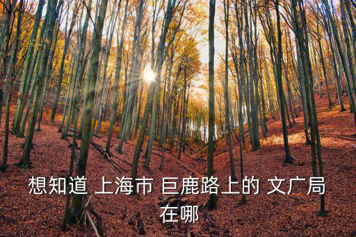 想知道 上海市 巨鹿路上的 文廣局 在哪