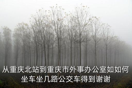從重慶北站到重慶市外事辦公室如如何坐車坐幾路公交車得到謝謝