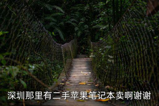 深圳那里有二手蘋果筆記本賣啊謝謝