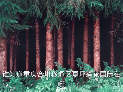 誰知道重慶合川移通區(qū)夏坪蓮花國際在哪
