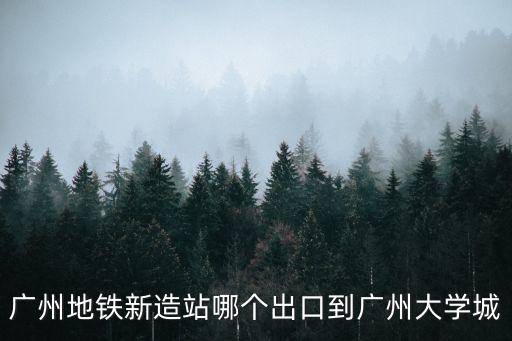 廣州新造大學城，廣州新大學城準備建在什么地方