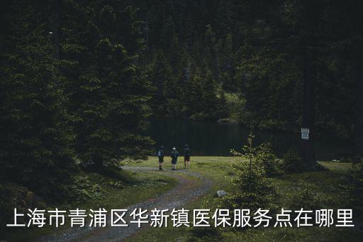 上海市青浦區華新鎮醫保服務點在哪里