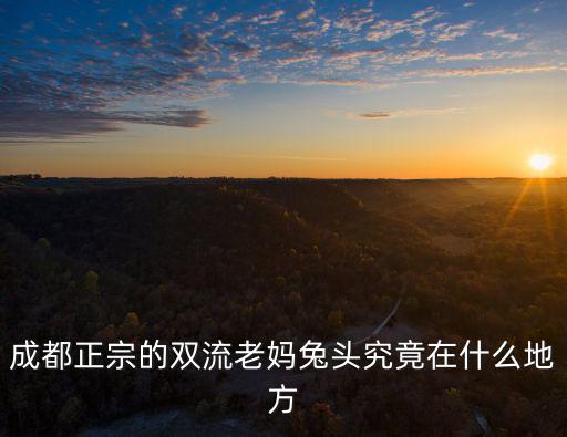成都正宗的雙流老媽兔頭究竟在什么地方
