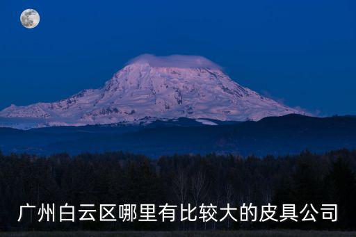 廣州白云區(qū)哪里有比較大的皮具公司