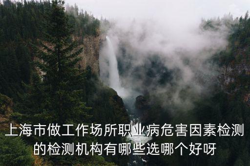上海市做工作場所職業(yè)病危害因素檢測的檢測機構有哪些選哪個好呀