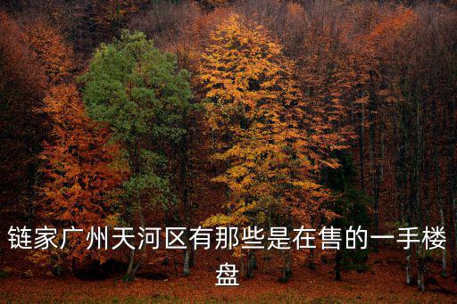 鏈家廣州天河區有那些是在售的一手樓盤