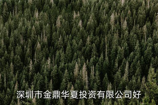 深圳市金鼎華夏投資有限公司好