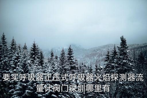 要買呼吸器正壓式呼吸器火焰探測器流量計閥門深圳哪里有