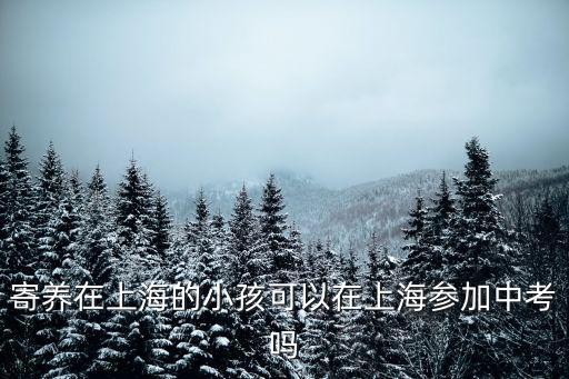 寄養在上海的小孩可以在上海參加中考嗎