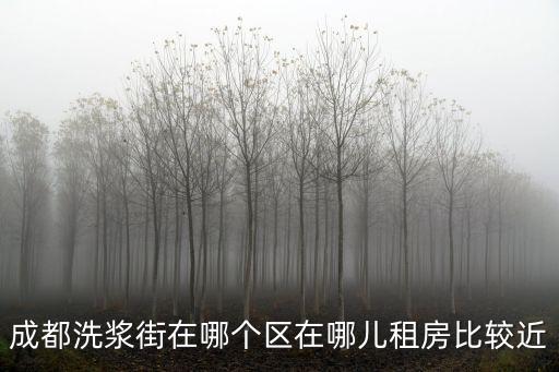 成都洗漿街在哪個區在哪兒租房比較近