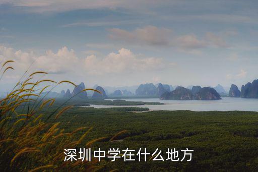 深圳中學在什么地方