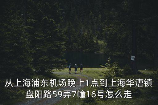 上海市華漕鎮(zhèn)挖機吊裝施工方案，從上海浦東機場睌上1點到上海華漕鎮(zhèn)盤陽路59弄7幢16號怎么走