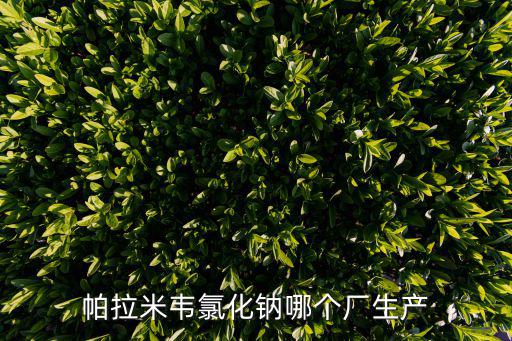 帕拉米韋氯化鈉哪個(gè)廠生產(chǎn)