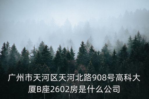 廣州市天河區天河北路908號高科大廈B座2602房是什么公司