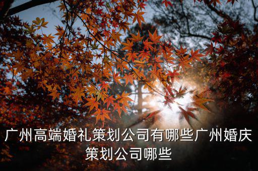 廣州高端婚禮策劃公司有哪些廣州婚慶策劃公司哪些