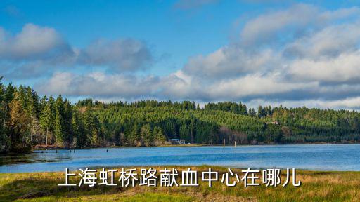 上海市獻血辦，上海獻血網點