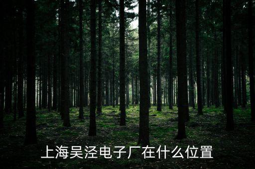 上海吳涇電子廠在什么位置