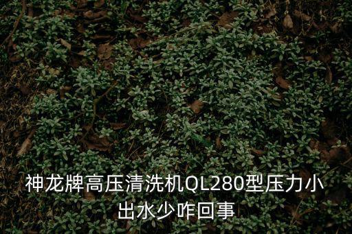 神龍牌高壓清洗機(jī)QL280型壓力小出水少咋回事