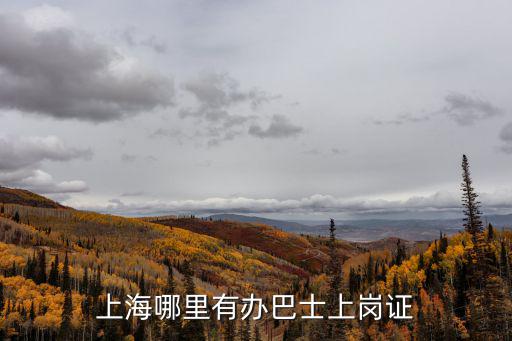 上海市建設交通人才考試網，上海浦東川沙合慶這的人才網的網址是什么
