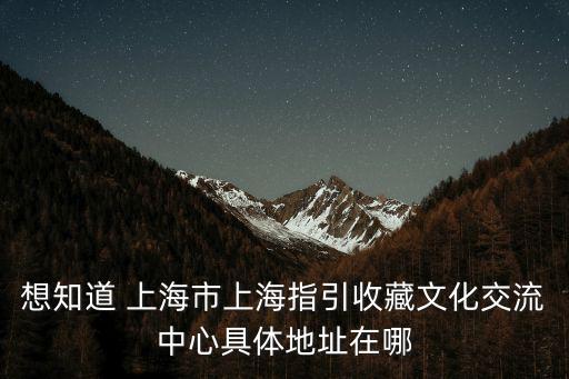 想知道 上海市上海指引收藏文化交流中心具體地址在哪